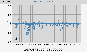 Wind Vector