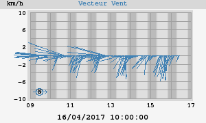 Wind Vector