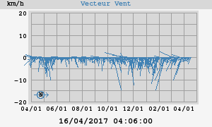 Wind Vector